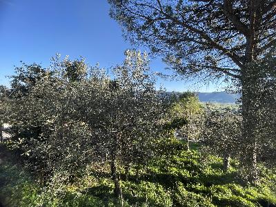Preghiera della sera 23 febbraio 2026 Preghiera della sera 23 febbraio 2026