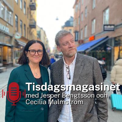 Tisdagsmagasinet: Johan Pehrson som påve?