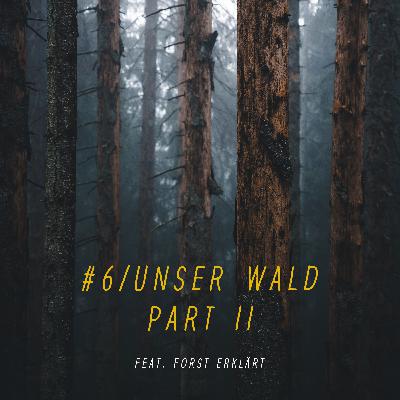 #6 | Unser Wald - Part II