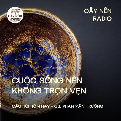 Cuộc sống nên không trọn vẹn | GS Phan Văn Trường | Cấy Nền Radio | #CauHoiHomNay149