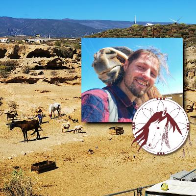 #165 Zirgu, ēzeļu un citu lopiņu saudzētava Tenerifē #165 Zirgu, ēzeļu un citu lopiņu saudzētava Tenerifē