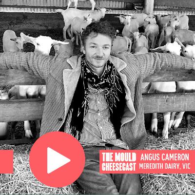 #24: Angus Cameron, Meredith Dairy (Meredith, Victoria)
