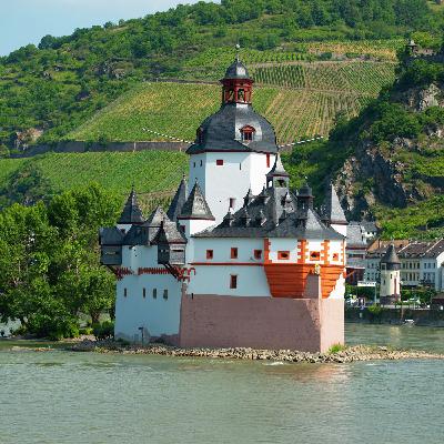 La devoción de David