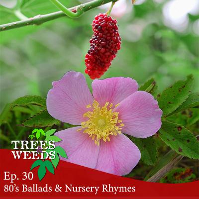 Ep. 30 - 80's Ballads & Nursery Rhymes Ep. 30 - 80's Ballads & Nursery Rhymes