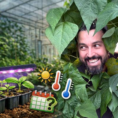 Mieux comprendre ses dates de semis avec Pierre-Antoine Gilbert, agronome. Mieux comprendre ses dates de semis avec Pierre-Antoine Gilbert, agronome.
