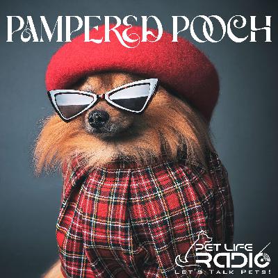 PetLifeRadio.com - The Pampered Pooch - Episode 15 Let Sleeping Dogs Lie....in Designer Dog Beds