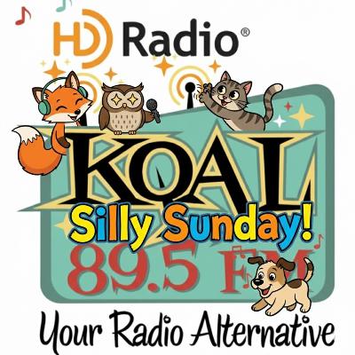 Silly Animals! Silly Animals!