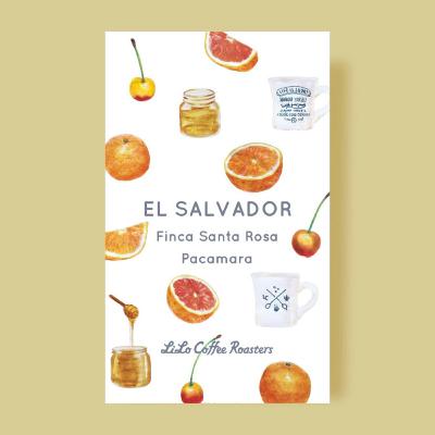 El Salvador Finca Santa Rosa Raul Rivera Pacamara / エルサルバドル フィンカ サンタロサ ラウルリベラ パカマラ