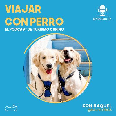 Ep 14. Viajar a Gran Canaria con perro en barco y camarote dog friendly