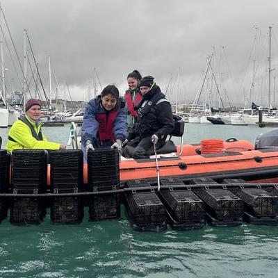 Tús Áite: Oisrí curtha i mBaile Átha Cliath