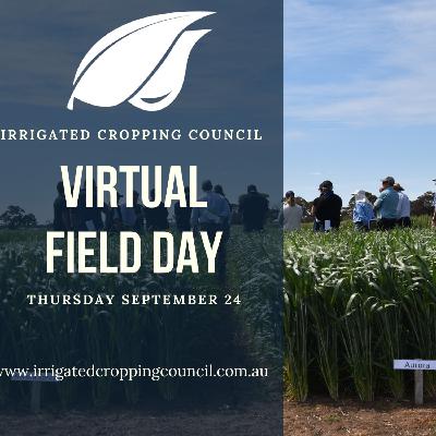 ICC Field Day Special - Alex Schultz