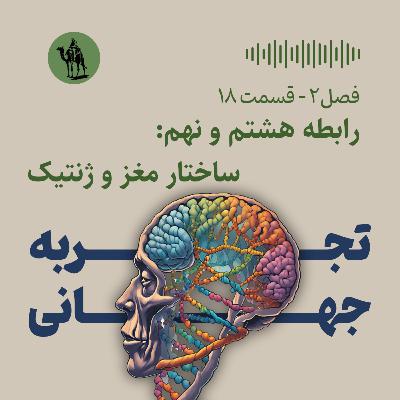 رابطه هشتم و نهم: ساختار مغز و ژنتیک (عوامل موثر بر اضطراب و افسردگی)