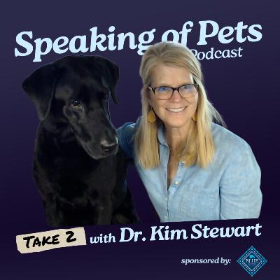 This Dog is a Search-and-Rescue Master | Speaking of Pets episode 89 - Dr. Kim Stewart Take 2 This Dog is a Search-and-Rescue Master | Speaking of Pets episode 89 - Dr. Kim Stewart Take 2