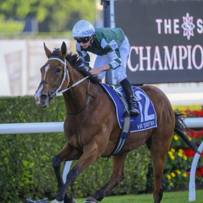 Punter's Preamble - 2025 Makybe Diva Stakes Day