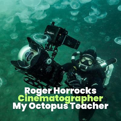 My Octopus Teacher, Blue Planet 2, Our Oceans... The Life of An Underwater & Wildlife Cinematographer with Roger Horrocks