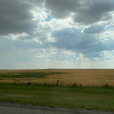 (S1 E3) Starting from Square One