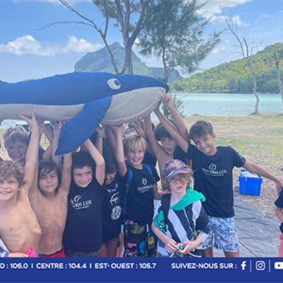 Biodiversité marine en danger : Savetheblu interpelle l’Élysée et réclame des mesures immédiates pour protéger les oceans Biodiversité marine en danger : Savetheblu interpelle l’Élysée et réclame des mesures immédiates pour protéger les oceans