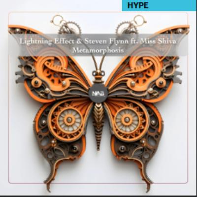 Miss Shiva, Lightning Effect, Steven Flynn - Metamorphosis [NAB Records]