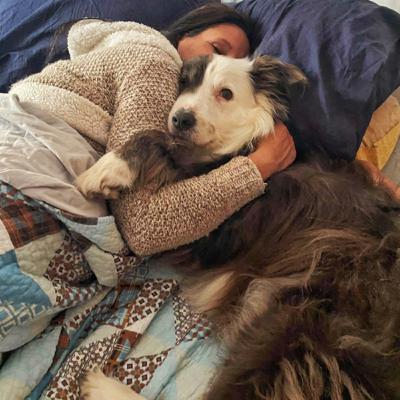 The secret for successfully training your dog