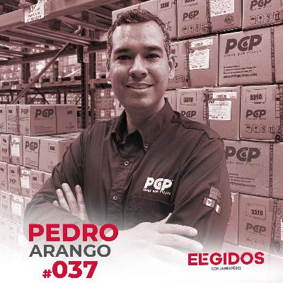 037- El poder de la excelencia. Cómo funciona el milagro del éxito / Pedro Arango
