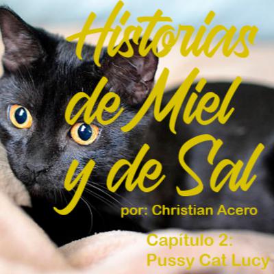 HISTORIAS DE MIEL Y DE SAL. Chapter 2. PUSSY CAT LUCY