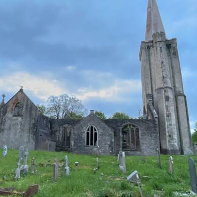 Dawn chorus Tuesday 25th May 2021