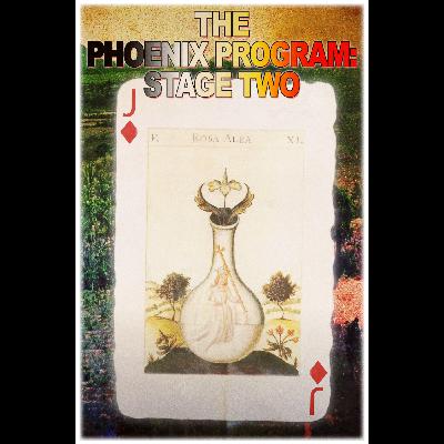 The Phoenix Program: Stage Two
