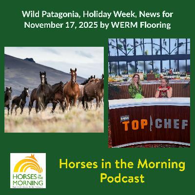 Wild Patagonia, Holiday Week, News for November 17, 2025 by WERM Flooring - Horses in the Morning Wild Patagonia, Holiday Week, News for November 17, 2025 by WERM Flooring - Horses in the Morning