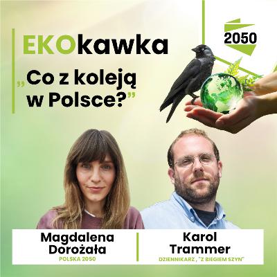 Co z koleją w Polsce?