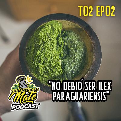 No debió ser Ilex Paraguariensis