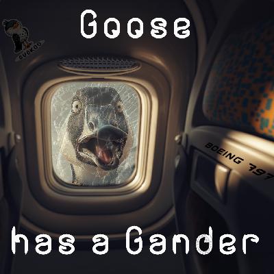 APG 700 – Goose has a Gander APG 700 – Goose has a Gander
