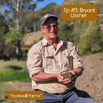 Farming with Heart: Nguni Cattle, Mushrooms & Treading Lightly with Bryant Ussher from Eastwell Farms