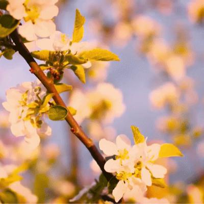 my first blog post :)