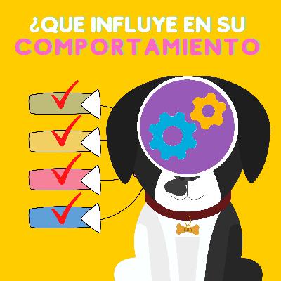 20 - Y… ¿Por qué mi perro se porta así?