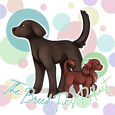 Dalmation: The Equine ESA