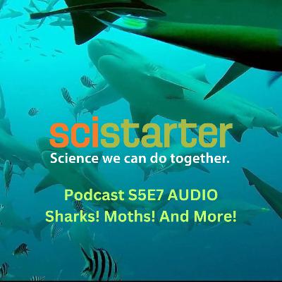 Sharks! Moths! And MORE (AUDIO Version) Sharks! Moths! And MORE (AUDIO Version)