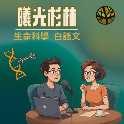 EP00-歡迎來到「曦光杉林」