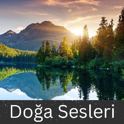 Hızlı Yayın - Uyku, Meditasyon ve Rahatlama için 10 saat