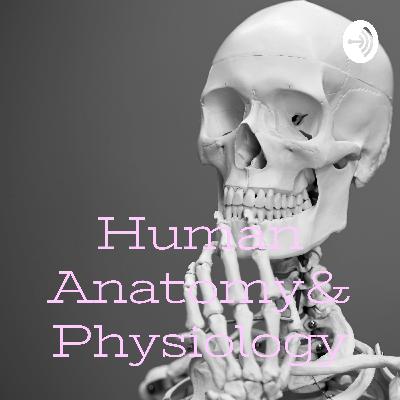 Wrapping up Osteopetrosis (Intermediate, Renal Tubular acidosis & X-linked)