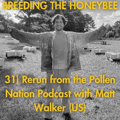 31) Rerun of the Pollen Nation Podcast (US)
