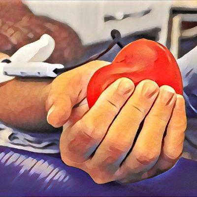 Журнал DonorSearch — Как восстановить силы после сдачи крови