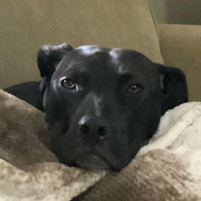 TalkTheWalk Halloween Special!