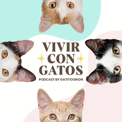Ep. 25 - Gatos y Reiki: el arte de sanar con amor y vibración
