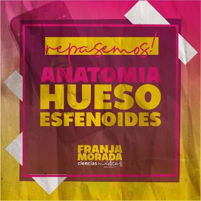 ANATOMÍA DE HUESO ESFENOIDES