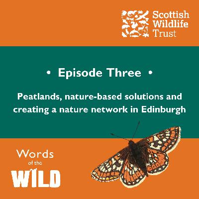 Peatlands, nature-based solutions and creating a nature network in Edinburgh