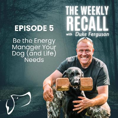 #5 Be the Energy Manager Your Dog (and Life) Needs #5 Be the Energy Manager Your Dog (and Life) Needs