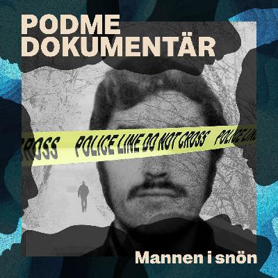 Mannen i snön – Del 3: Den pedantiske mördaren