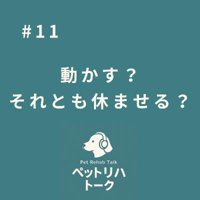 #11 動かした方がいい？それとも休ませた方がいい？ ― リハビリの「量」と「タイミング」の考え方 ―