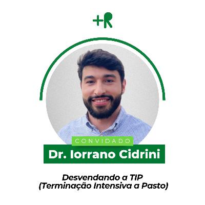DESVENDANDO A TIP (Terminação Intensiva a Pasto) - Dr. Iorrano Cidrini | Ep. 108 DESVENDANDO A TIP (Terminação Intensiva a Pasto) - Dr. Iorrano Cidrini | Ep. 108