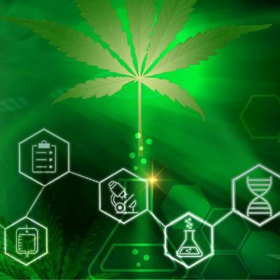 Nic Eastley about challenges and perspectives in medicinal cannabis